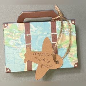 FROG MYSTERY BOX #6 CONTAINS 3 PIECES WEARABLE COSTUME JEWELRY